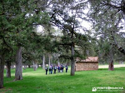 La Fuentona y el Sabinar de Calatañazor; actividades de montaña;las mejores rutas de senderismo de